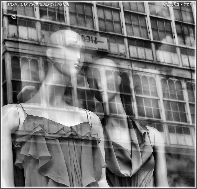 6423776497 5f9c45a2cd z