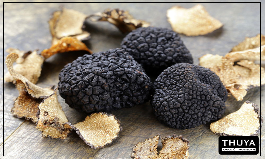 material trufa para la creación de cosmética negra