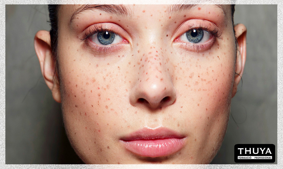 modelo pecas tendencia 2.jpg