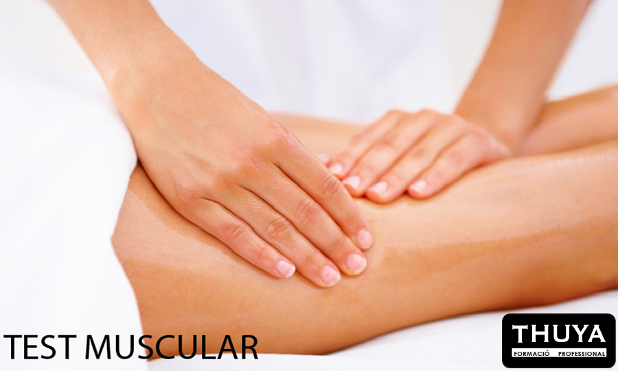 test muscular que sirve para detectar los problemas en la kinesiología