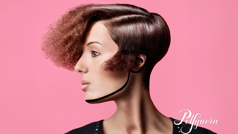 interior pelsynera 3