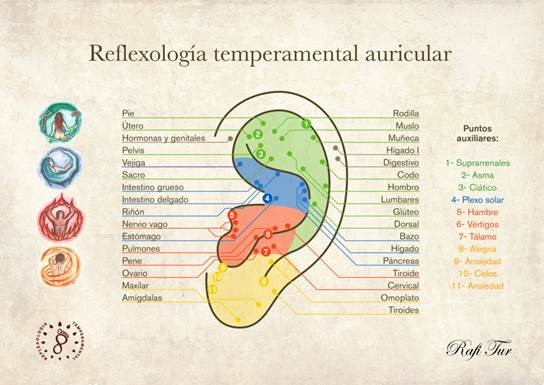 reflexolog&iacute;a podal