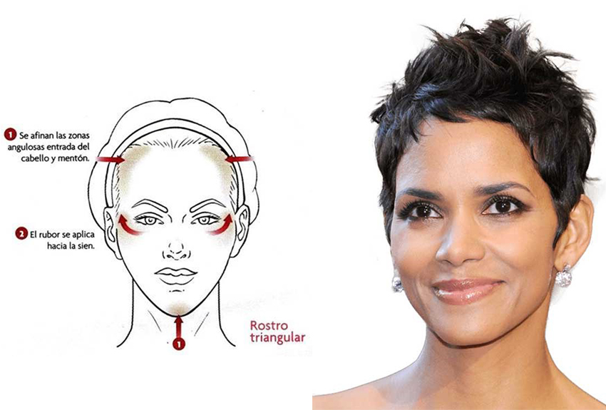 rostro triangular general