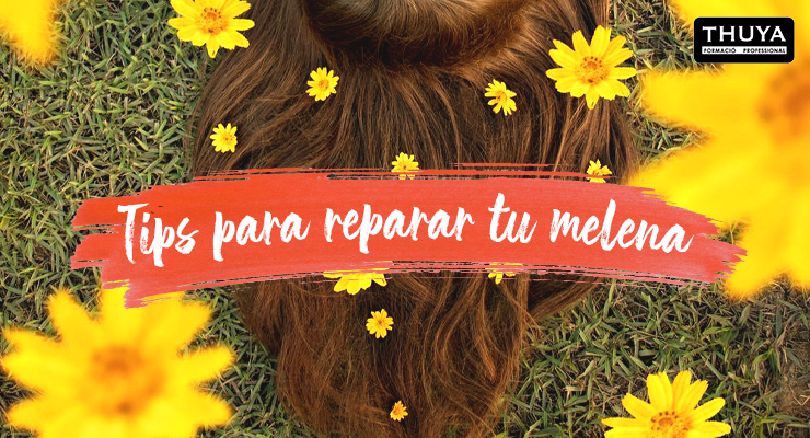 Tips para reparar tu melena