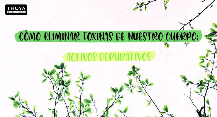 Eliminar toxinas de nuestro cuerpo: activos depurativos
