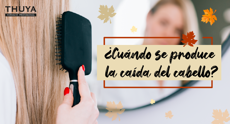 Cuándo se produce la caída del cabello