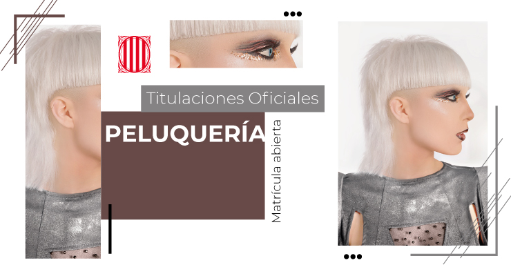 conviertete en un profesional de la peluqueria