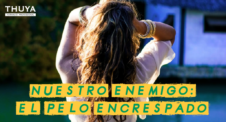 Nuestro enemigo: el pelo encrespado