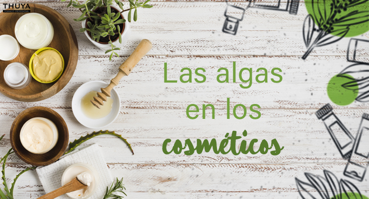 Las algas en los cosméticos Shared