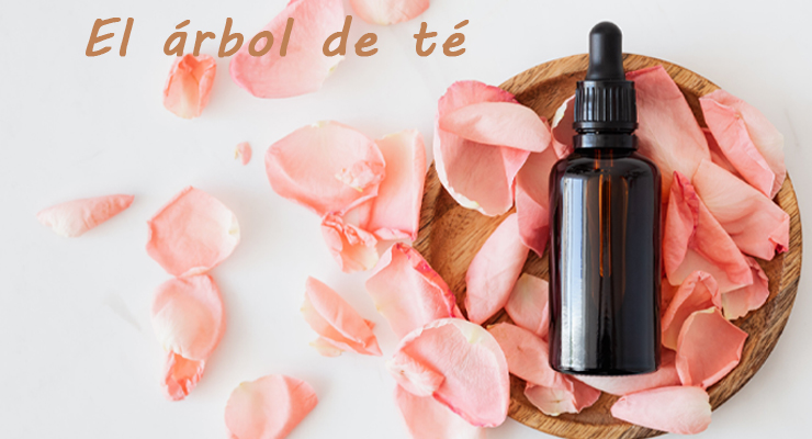 El árbol de té